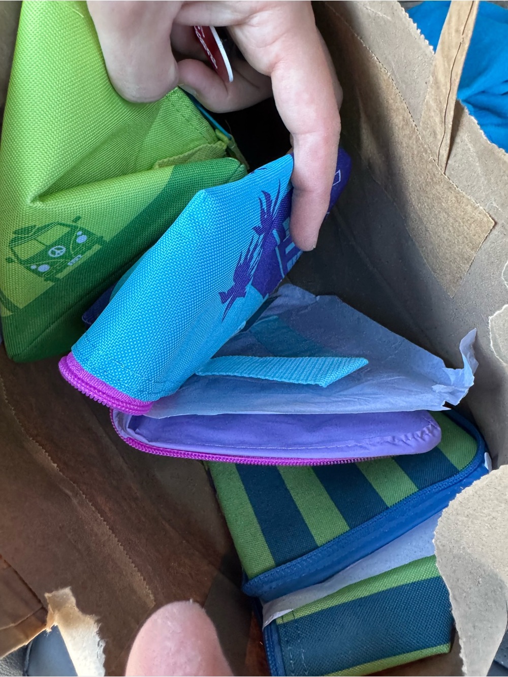 Trader Joe’s Summertime Lunch Bag Insulated